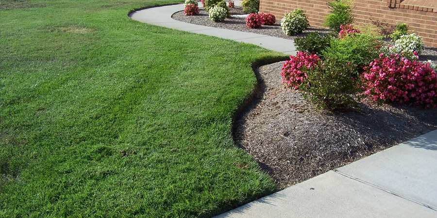 A Grass Cutting Customer's House